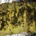 クックYDTMHN☆'s cooksnap of when they made 超簡単！ちくわのチーズ焼き.