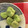rnaꜝ's cooksnap of when they made 茹でそら豆♪.*･ﾟ　.ﾟ･*..