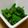 みす茶's cooksnap of when they made 簡単すぎる！ピーマンのこくうま炒め.