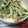 ヒロビリー's cooksnap of when they made ごぼうと✿水菜の✿ゴマ✿マヨ✿サラダ.