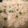 ｑｕｉｃｏ's cooksnap of when they made グリンピースご飯.