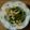 かおり85's cooksnap of when they made ほうれん草と新たまねぎのサラダ.・＊.