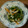 かおり85's cooksnap of when they made ほうれん草と新たまねぎのサラダ.・＊.