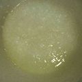 クックL8U9HI☆'s cooksnap of when they made 炊飯器で離乳食☆初期☆10倍がゆ.
