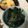 あき0304's cooksnap of when they made 小鉢～ほうれん草と韓国海苔のおひたし.