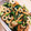 ゆかたこ's cooksnap of when they made 簡単！小松菜と竹輪の塩こん炒め.