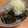 mikaringo☆'s cooksnap of when they made 春菊とかつおのたたき、わさび風味で.