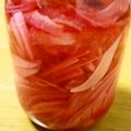 Haru Haru's cooksnap of when they made トマトによくあう 紫玉葱ドレッシング.