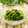 ぽっぽぺぺ's cooksnap of when they made ほうれん草のごまあえ.
