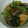 miyarobo's cooksnap of when they made フライパン1つで♪簡単茄子の揚げ焼き浸し.