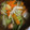 クック4SPU77☆'s cooksnap of when they made 白菜とえのき茸の中華風スープ.