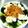 RIKOTORA's cooksnap of when they made ダイエットサラダ☆.