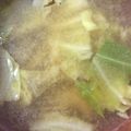 hmaotabiga's cooksnap of when they made キャベツの味噌汁.