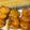 明日も晴れ's cooksnap of when they made 新たまねぎのフライ.