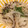 Kappa's cooksnap of when they made レンジで簡単！新玉ねぎ＆えのき＆塩昆布.
