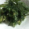クックIUL7D0☆'s cooksnap of when they made 野草を楽しむ～蓬のてんぷら.