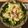 ちぃコビー's cooksnap of when they made 時短簡単キャベツと豚肉のゴマ味噌和え♡.