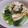 くずぴー's cooksnap of when they made 小松菜とナッツの黄身しょう油かけ.