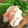 めいやっち's cooksnap of when they made かんぴょうと人参のマヨサラダ.