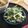 atsuka's cooksnap of when they made ヘビロテ@水菜の白和え♡.
