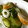 みどりなかつま's cooksnap of when they made きゅうりの 昆布茶 漬物.