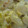 びばるんるん's cooksnap of when they made とろとろ親子丼.