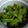 あやねんママ1222's cooksnap of when they made ピーマンだけ！鰻のたれ焼き(*^O^*).