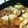 クック9C34P7☆'s cooksnap of when they made 我が家の♡絶品すき焼き.
