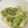 §§§§'s cooksnap of when they made レタスの簡単サラダ.