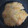 如月来留's cooksnap of when they made やみつき大根もち.