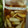 tazuppi's cooksnap of when they made らっきょうの甘酢漬け.
