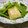 ともこキッチン's cooksnap of when they made 小松菜と豆腐のオイスター炒め.