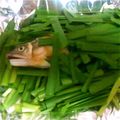 もともととが's cooksnap of when they made ワタまでおいしい！鮎のニラ焼き.