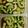 クック6MOGUX☆'s cooksnap of when they made 母直伝☆きゅうりの浅漬け.
