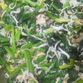 Manaたんママ's cooksnap of when they made 簡単【ほうれん草としらすのツナ醤油和え】.