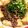 クックKORIN's cooksnap of when they made すき焼き風☆肉豆腐(*^^*).