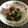 ゴロン３４'s cooksnap of when they made 超簡単☆豆苗とシーチキン和え物！(^^).