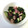 クック72ZJO6☆'s cooksnap of when they made 簡単☆たこときゅうりのさっぱり漬け.