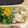 happykitch's cooksnap of when they made 柔らか蒸し鶏のハニーマスタードソース☆*.