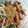 ●これなんだ●'s cooksnap of when they made 簡単！きゅうりの酢の物.