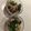クックE73Y51☆'s cooksnap of when they made 簡単！辛旨♪チンゲン菜としめじのお浸し☆.