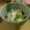 イグアノ丼's cooksnap of when they made レンコンと生姜の佃煮の混ぜご飯.