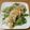 柑橘系ママ's cooksnap of when they made 新玉ねぎと水菜のじゃこ豆腐サラダ.