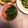 miho0612's cooksnap of when they made 麺つゆで！焼きオクラの生姜びたし　どすぇ.