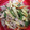 55yummy's cooksnap of when they made 定番※お手軽中華 青椒肉絲.