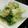 すぶたまる's cooksnap of when they made ブロッコリーと干し海老のチーズ炒め♪.