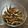 クック6P5DDP☆'s cooksnap of when they made 小鮎の甘露煮.