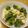 ぽりぽり拓庵's cooksnap of when they made ごまたっぷりブロッコリーサラダ☆.