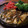 cocomiigo's cooksnap of when they made 梅鶏ささみのゆずコショウあんかけ.