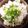 kelizabeth's cooksnap of when they made ほっけ飯.